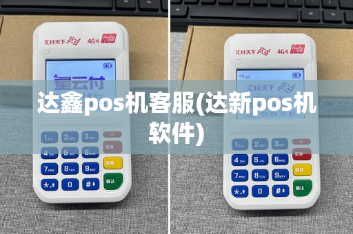 达鑫pos机客服(达新pos机软件)