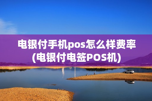 电银付手机pos怎么样费率(电银付电签POS机)