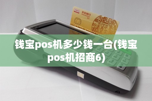 钱宝pos机多少钱一台(钱宝pos机招商6)