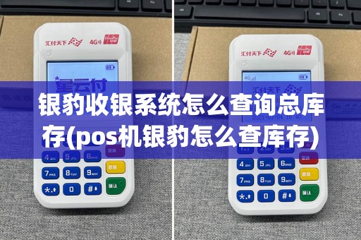 银豹收银系统怎么查询总库存(pos机银豹怎么查库存)  第1张