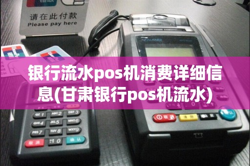 银行流水pos机消费详细信息(甘肃银行pos机流水)
