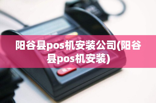 阳谷县pos机安装公司(阳谷县pos机安装)