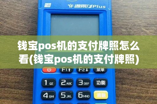 钱宝pos机的支付牌照怎么看(钱宝pos机的支付牌照)