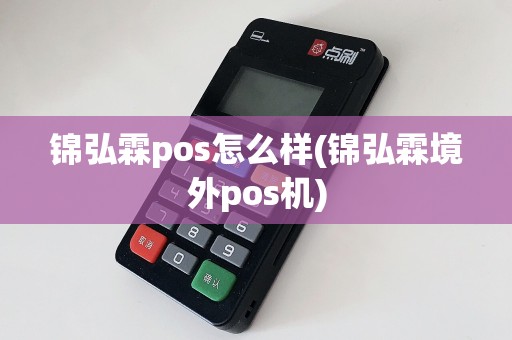 锦弘霖pos怎么样(锦弘霖境外pos机)