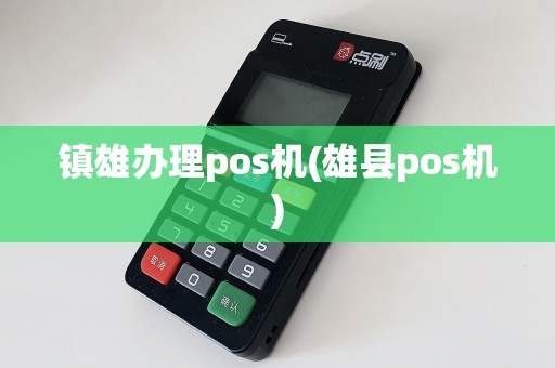 镇雄办理pos机(雄县pos机)
