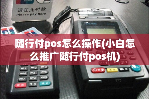 随行付pos怎么操作(小白怎么推广随行付pos机)