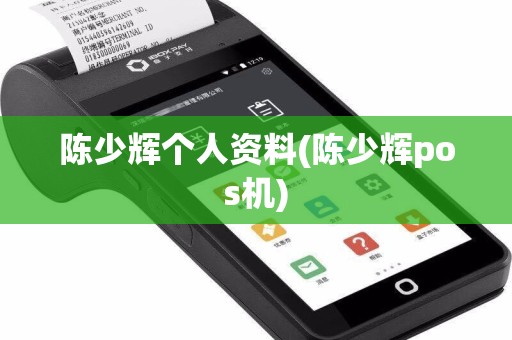 陈少辉个人资料(陈少辉pos机)