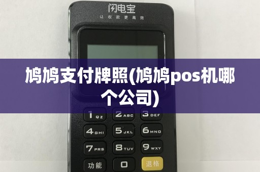 鸠鸠支付牌照(鸠鸠pos机哪个公司)