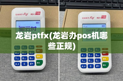 龙岩ptfx(龙岩办pos机哪些正规)