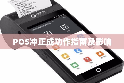 POS冲正成功作指南及影响
