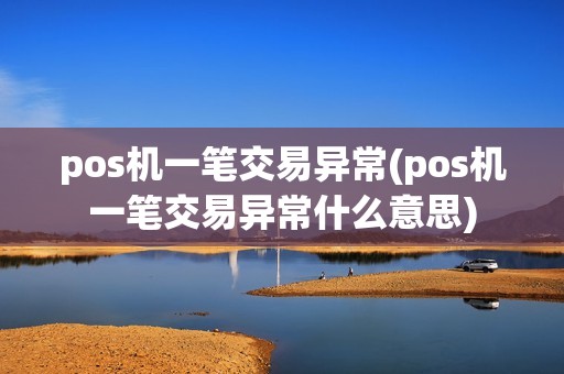 pos机一笔交易异常(pos机一笔交易异常什么意思)