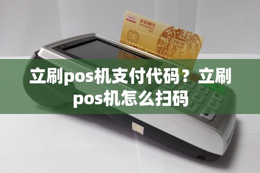 立刷pos机支付代码？立刷pos机怎么扫码
