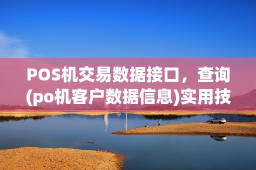 POS机交易数据接口，查询(po机客户数据信息)实用技巧