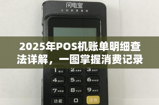 2025年POS机账单明细查法详解，一图掌握消费记录