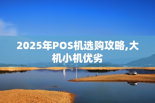 2025年POS机选购攻略,大机小机优劣
