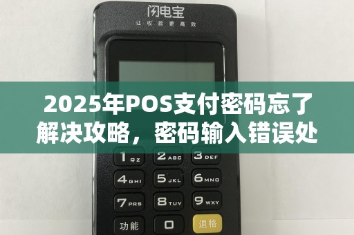 2025年POS支付密码忘了解决攻略，密码输入错误处理方法