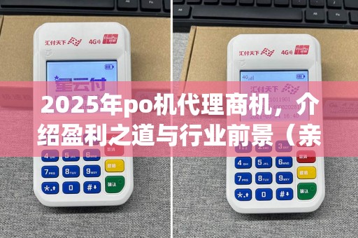 2025年po机代理商机，介绍盈利之道与行业前景（亲身经历）