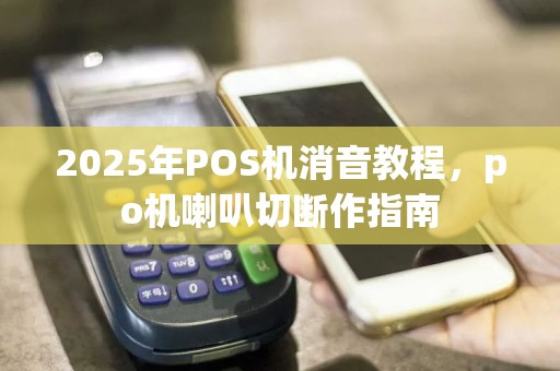 2025年POS机消音教程，po机喇叭切断作指南