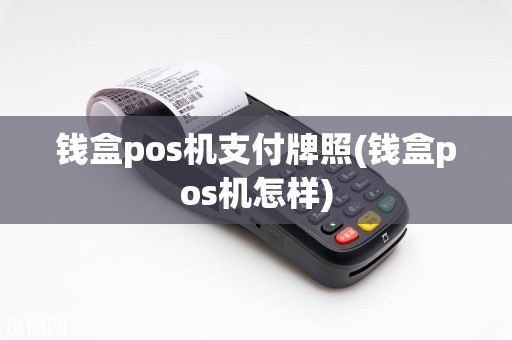 钱盒pos机支付牌照(钱盒pos机怎样)