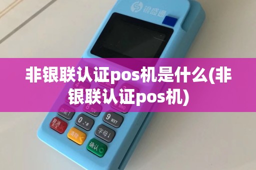 非银联认证pos机是什么(非银联认证pos机)