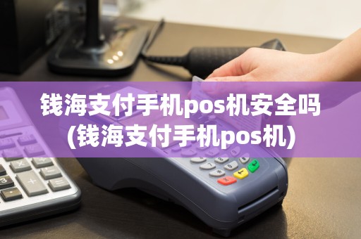 钱海支付手机pos机安全吗(钱海支付手机pos机)