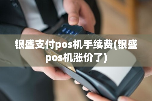 银盛支付pos机手续费(银盛pos机涨价了)