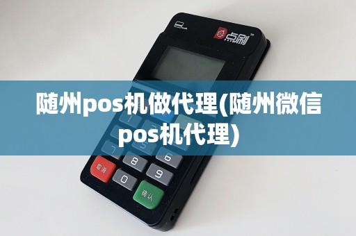 随州pos机做代理(随州微信pos机代理)