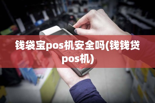 钱袋宝pos机安全吗(钱钱贷pos机)  第1张