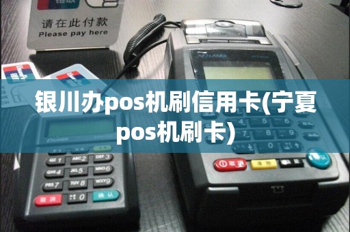 银川办pos机刷信用卡(宁夏pos机刷卡)  第1张