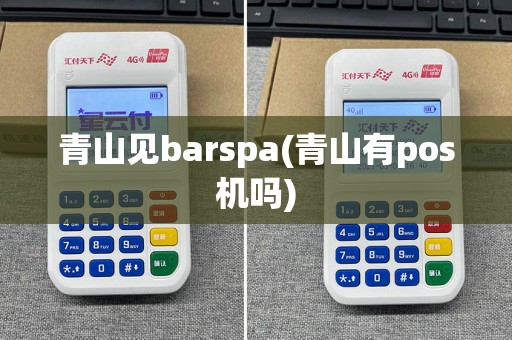 青山见barspa(青山有pos机吗)  第1张