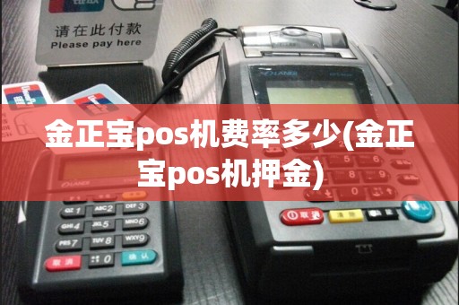 金正宝pos机费率多少(金正宝pos机押金)