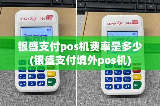 银盛支付pos机费率是多少(银盛支付境外pos机)