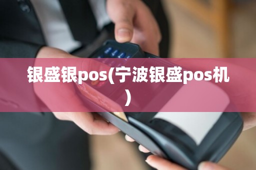 银盛银pos(宁波银盛pos机)