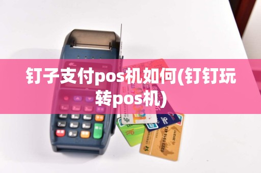 钉子支付pos机如何(钉钉玩转pos机)