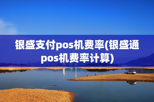 银盛支付pos机费率(银盛通pos机费率计算)