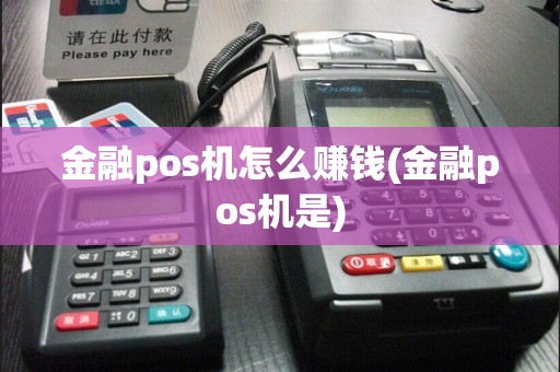 金融pos机怎么赚钱(金融pos机是)