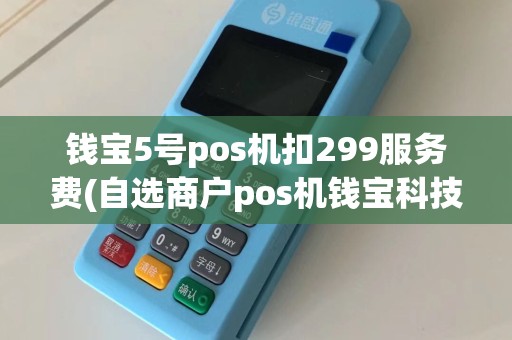 钱宝5号pos机扣299服务费(自选商户pos机钱宝科技)
