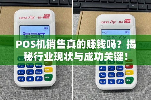 POS机销售真的赚钱吗？揭秘行业现状与成功关键！