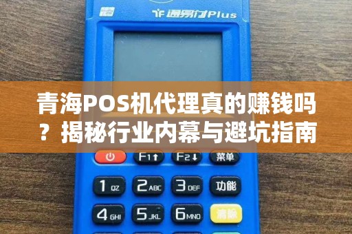 青海POS机代理真的赚钱吗？揭秘行业内幕与避坑指南！