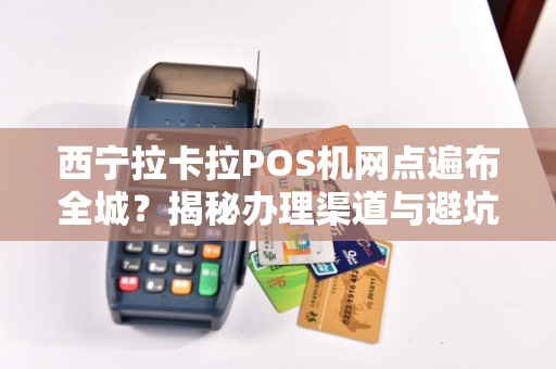 西宁拉卡拉POS机网点遍布全城？揭秘办理渠道与避坑指南！