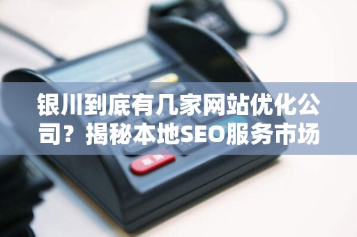 银川到底有几家网站优化公司？揭秘本地SEO服务市场现状！