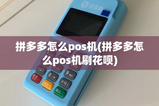 拼多多怎么pos机(拼多多怎么pos机刷花呗)  第1张