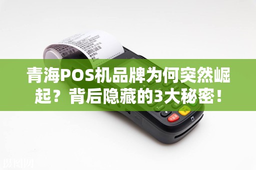 青海POS机品牌为何突然崛起？背后隐藏的3大秘密！