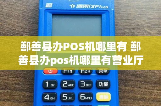 鄯善县办POS机哪里有 鄯善县办pos机哪里有营业厅  第1张