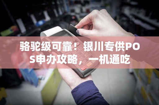 骆驼级可靠！银川专供POS申办攻略，一机通吃