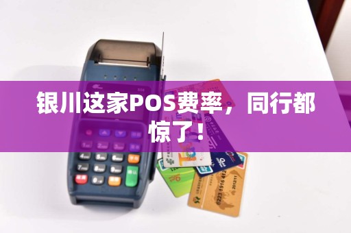 银川这家POS费率，同行都惊了！