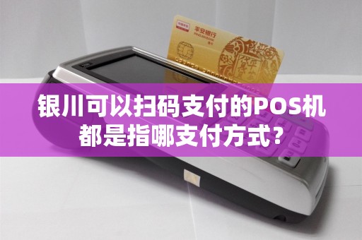 银川可以扫码支付的POS机都是指哪支付方式？
