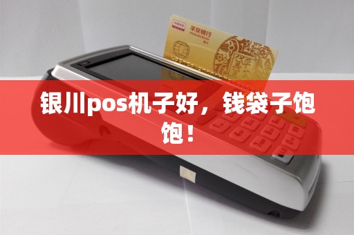 银川pos机子好，钱袋子饱饱！