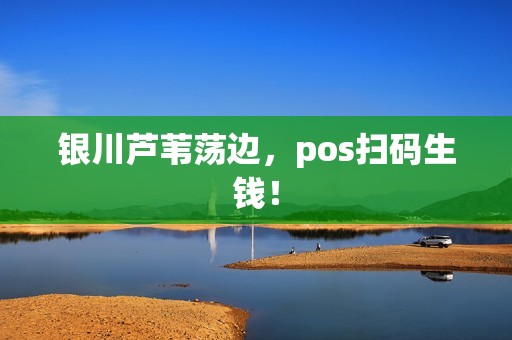 银川芦苇荡边，pos扫码生钱！