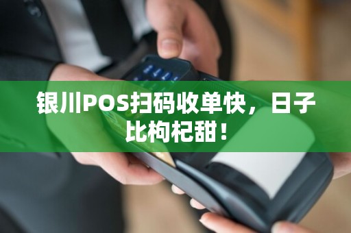 银川POS扫码收单快，日子比枸杞甜！